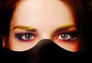 极速下载稳定的cc攻击工具